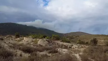 İzmir'de ormanlık alanda çıkan yangın söndürüldü