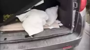 Araçlarının bagajındaki çuvalda kedi çıkan 2 kişiye 8 bin 92 lira ceza kesildi