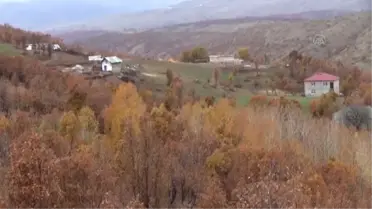 Terörden arındırılan köye altyapı hizmeti götürülüyor