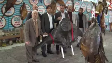 Öğretmenlerden Türkiye Deniz Canlıları Müzesi'ne ziyaret