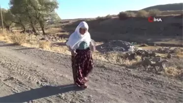 104 yaşındaki Gülizar teyze 20 yıl önce vefat eden eşinin yatağı başında gözyaşı döküyor