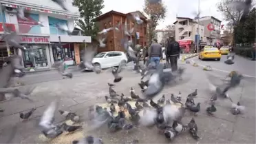 Avanak Avni evine döndü