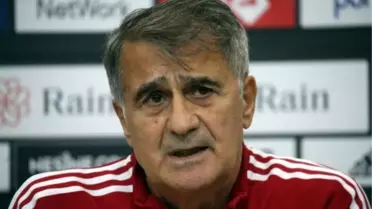 Şenol Güneş: 'Brezilya gibi bir oyun istiyorum' -2-