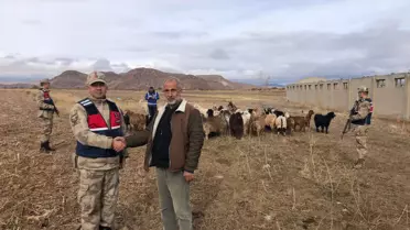 Jandarma, çiftçinin kayıp 50 küçükbaş hayvanını dronla buldu