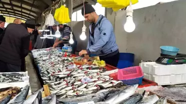 Balık bollaştı, fiyatlar ucuzladı