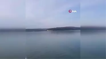 Terkos Gölü'nde kaçak avcılık yapanlar suç üstü yakalandı