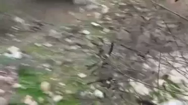 Çambükü'nde Osb İnşaatı İçin Ceviz Ağaçları Kesildi, Köylüler Duruma Tepki Gösterdi