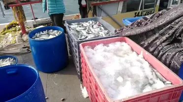 Sahil kenarlarında yasadışı ticari balık avcılığı yapanlara 30 bin TL para cezası kesildi