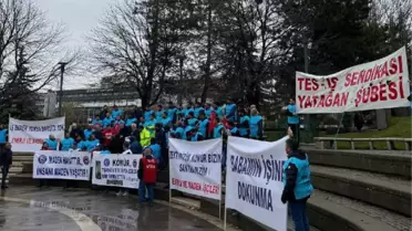 Maden ve enerji işçileri 'zeytin yasası' için Ankara'da bir araya geldi