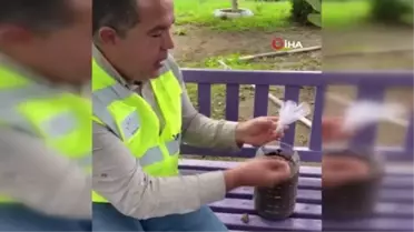 Öğrencilere 'İyi ki varsın ağaç' eğitimi