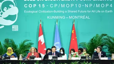 Xi, Cop15 İkinci Bölüm Üst Düzey Segmentinin Açılış Töreninde Konuşma Yaptı