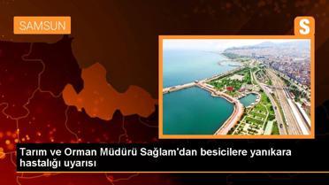 Tarım ve Orman Müdürü Sağlam'dan besicilere yanıkara hastalığı uyarısı