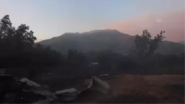 Şili'deki orman yangının ardından bölgede meydana gelen hasar görüntülendi