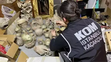 İstanbul'un göbeğindeki dükkana baskın! Yüzlerce hayvan boynuzu ve tarihi eser ele geçirildi