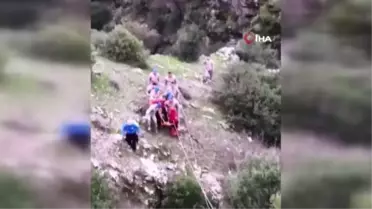 Kekik toplamak için evden çıkan ve kaybolan yaşlı kadının cesedine ulaşıldı