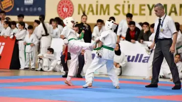 Yıldırım'da karate rüzgârı