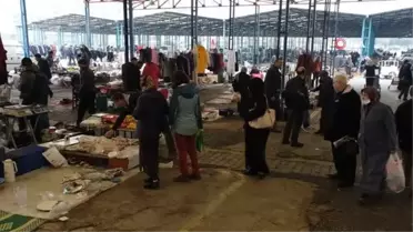 Bu pazarda yok yok... Manisa'da kurulan Bit Pazarı'nda her şeyi bulmak mümkün