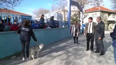 Öğrenciler sahiplendikleri köpeğin ismini sandığa oy atarak belirledi