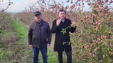 Okan Gaytancıoğlu, Meyve Bahçelerinin Yabancılara Vatandaşlık İçin Satıldığını İleri Sürdü: 'Hile Var, Üç Kağıt Var, Vatandaşlık Bu Şekilde Veriliyor'