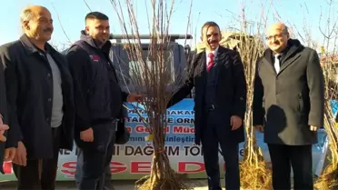 25 üreticiye 3 bin 560 adet Kütahya cinsi vişne fidanı dağıtıldı