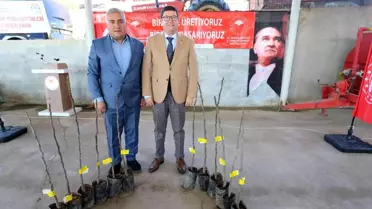 Menteşe'de 3 kırsal mahalleye 4 bin adet incin fidanı dağıtıldı