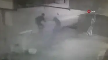 Bakkala giden çocuğa köpek saldırdı... Dehşet anları kamerada