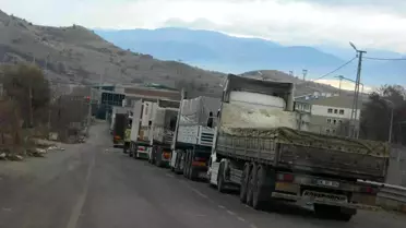 Türkgözü Sınır Kapısı'nda tır kuyruğu