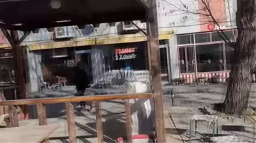 Adilcevaz'da yalancı bahar