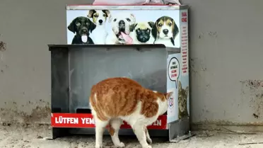 Çerkezköy Belediyesi Son 1 Yılda 115 Can Dostu Sahiplendirdi