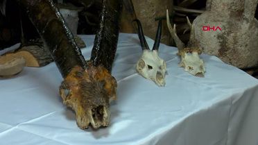 İSTANBUL ? KADIKÖY'DE VİLLAYA DÜZENLENEN TARİHİ ESER OPERASYONUNUN DETAYLARI