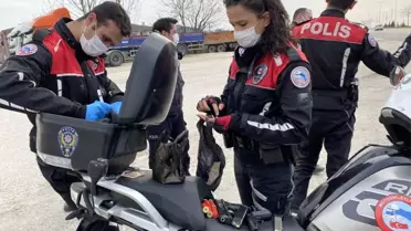 Yılbaşında Düzce'de kuş uçmayacak