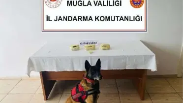 Üzerinde 1 kilo uyuşturucuyla yakalanan sürücü gözaltına alındı