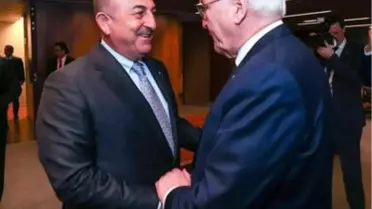 Dışişleri Bakanı Çavuşoğlu, Brezilya'da