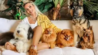 Seren Serengil, 5 köpeğinin aylık masrafının 30 bin TL'yi bulduğunu söyleyerek sitem etti: Ücretler aynı ama niye hakları insanlarla aynı değil?