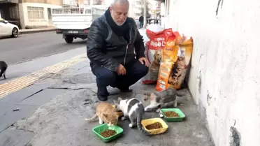 Diyarbakır'da hayırseverler destek veriyor, sokak hayvanları mamasız kalmıyor