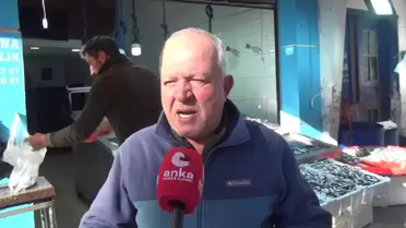 Sinoplu Balıkçı: 'Geçen Sene 25 Liradan 80 Kasa Hamsi Satıyordum. Geçen Hafta 25 Liradan 20 Kasa Hamsi Satamadım'