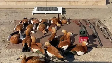 Şanlıurfa'da kaçak avlanan 3 kişiye 47 bin 877 lira ceza