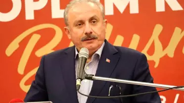 TBMM Başkanı Şentop'tan Prens Harry'ye sert tepki: 'Avrupalı beyaz çocuk, sen kimsin?'