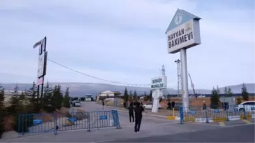 KÖPEĞİN KÜREKLE ÖLDÜRÜLMESİNDE 2 SANIĞIN TAHLİYESİNE İTİRAZ, REDDEDİLDİ