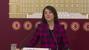 Gamze Taşcıer: 'Afad Recep Tayyip Erdoğan'ın İkinci Örtülü Ödeneğidir'