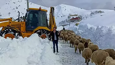 Yaylada 300 küçükbaş ile 3 gündür mahsur kalan aileyi belediye ekipleri kurtardı