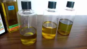 Burhaniye'de Zeytinyağı Tadım Paneli Devam Ediyor
