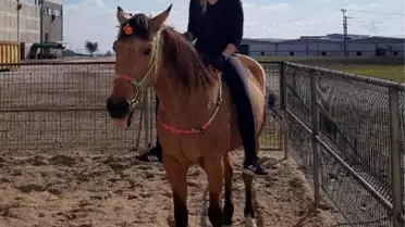 KKTC'DE VETERİNERLİK ÖĞRENCİSİ DENİZ, AKCİĞER ENFEKSİYONUNDAN ÖLDÜ