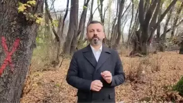 Köyceğiz'de Ormana Giden Burak Erbay: 'Dalaman İlçemizde de 300 Civarı Günlük Ağacının Kesildiğini Öğrendik, Ağaçlarımıza Sahip Çıkmak İçin Elimizden...