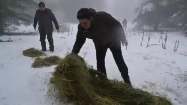 Spil Dağı Milli Parkı'na yaban hayvanları için yem bırakıldı