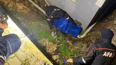 Kayıp olarak aranan yaşlı adam ölü bulundu