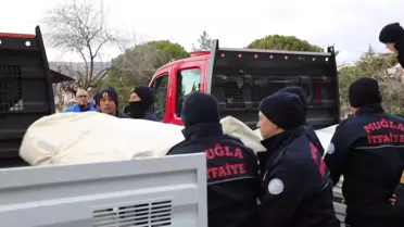 Muğla Büyükşehir Belediyesi Ekipleri, Deprem Bölgesine Doğru Yola Çıktı