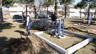 Burhaniye'de Talip Apaydın Çamlığı yenileniyor