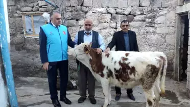 YETİŞTİRDİĞİ BÜYÜKBAŞ HAYVANINI DEPREMZEDELER İÇİN BAĞIŞLADI