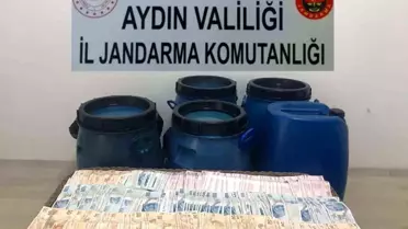 Aydın'da zeytinyağı hırsızları jandarmaya takıldı